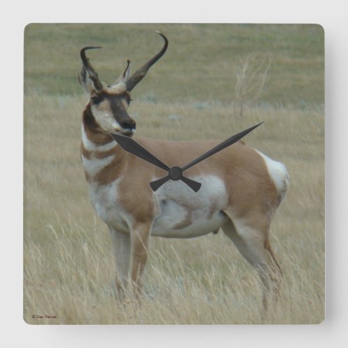 A37 Pronghorn Antelope Crooked Horns Square Wall Clock