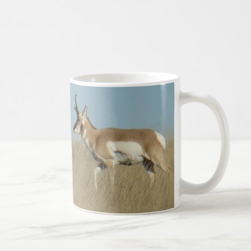 A44 Pronghorn Antelope Bucks Coffee Mug