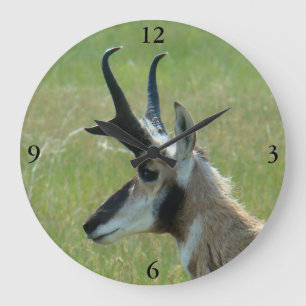 A47 Pronghorn Antelope Big Buck Head Profile Large Clock
