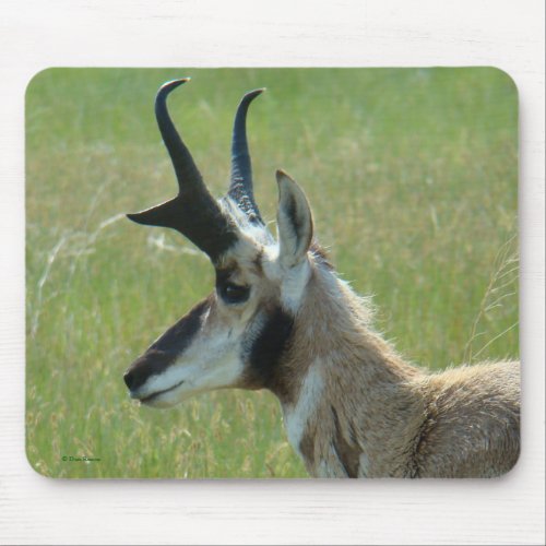 A47 Pronghorn Antelope Big Buck Head Profile Mouse Pad
