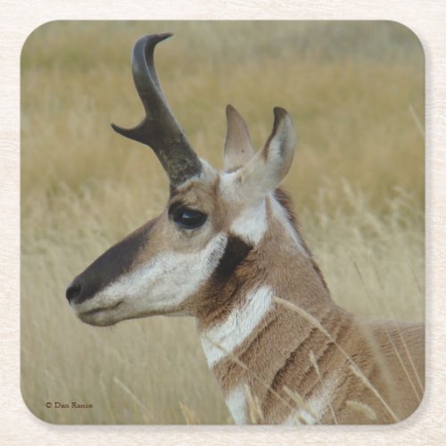 A4 Pronghorn Antelope Buck Head Profile Square Paper Coaster
