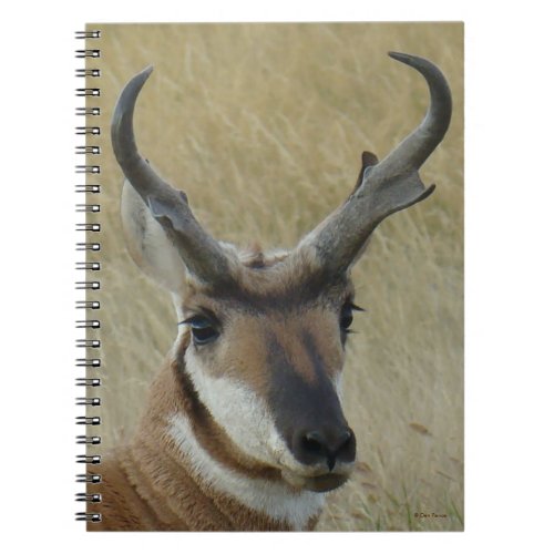 A5 Pronghorn Antelope Big Buck Head Shot Notebook