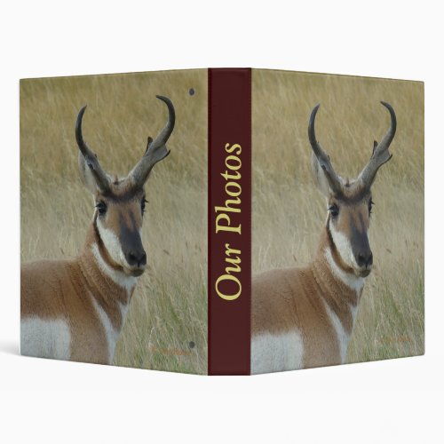 A5 Pronghorn Antelope Buck Binder