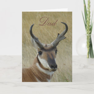 A5 Pronghorn Antelope Buck Head Shot Card