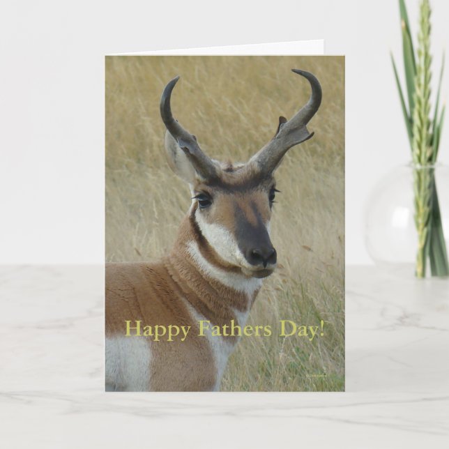 A5 Pronghorn Antelope Head Shot Card (Front)