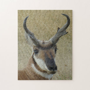 A5 Pronghorn Antelope Head Shot Jigsaw Puzzle