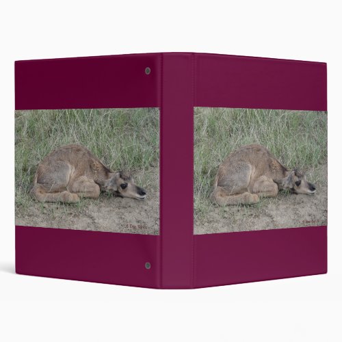 A6 Baby Pronghorn Antelope 3 Ring Binder