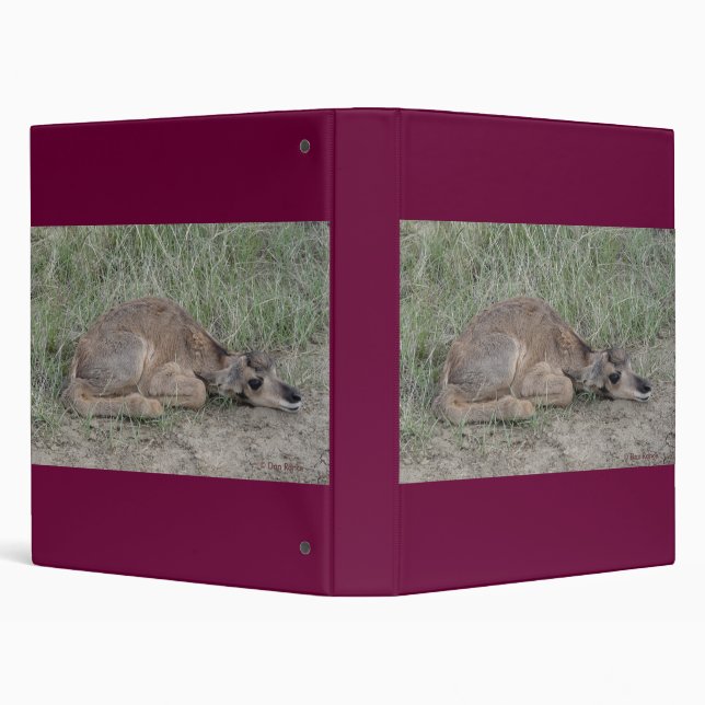 A6 Baby Pronghorn Antelope 3 Ring Binder (Background)