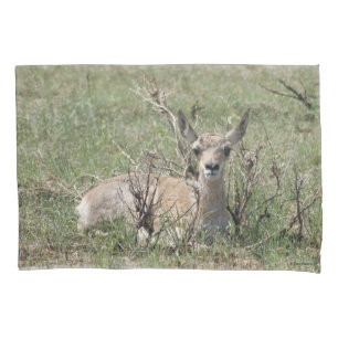 A7 Baby Pronghorn Antelope Pillow Case