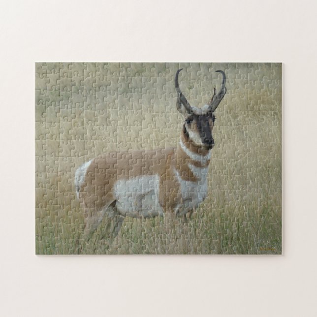 A8 Pronghorn Antelope Big Buck Jigsaw Puzzle (Horizontal)