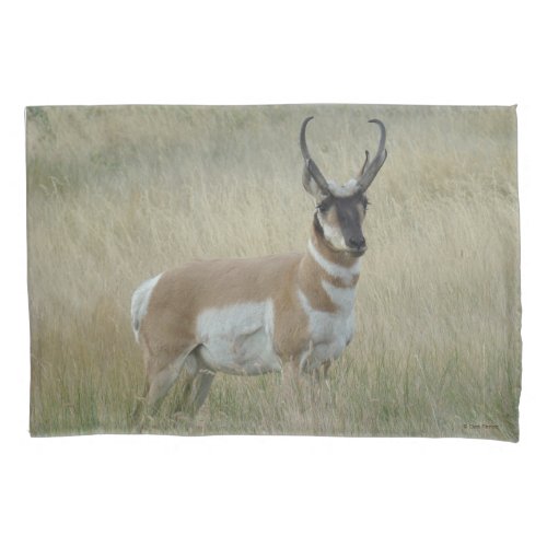 A8 Pronghorn Antelope Big Buck Pillow Case
