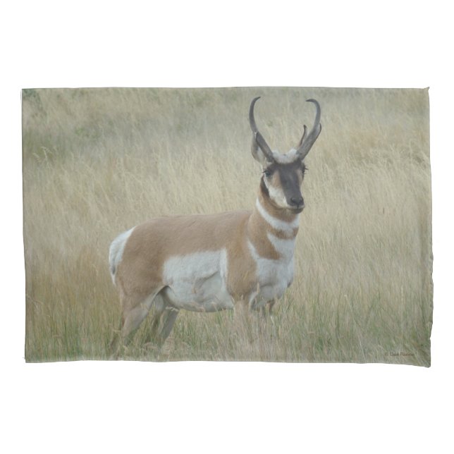 A8 Pronghorn Antelope Big Buck Pillow Case (Front)