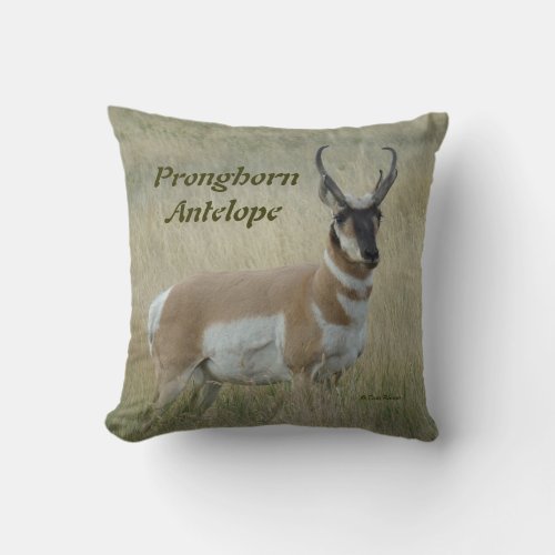 A8 Pronghorn Antelope Big Buck Throw Pillow