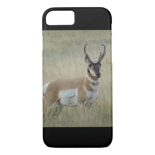 A8 Pronghorn Antelope Buck iPhone 87 Case