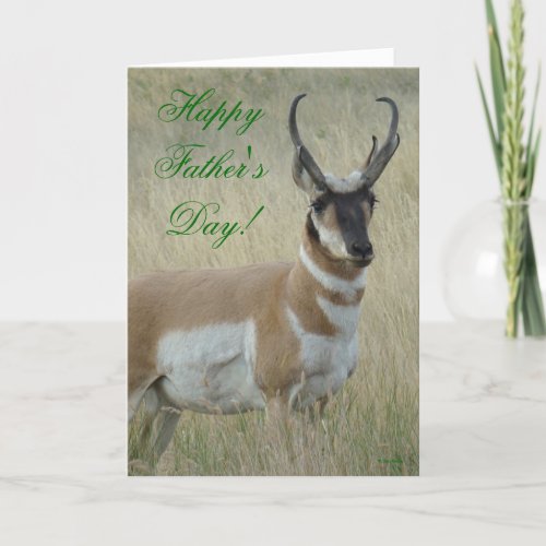 A9 Pronghorn Antelope Big Buck Card