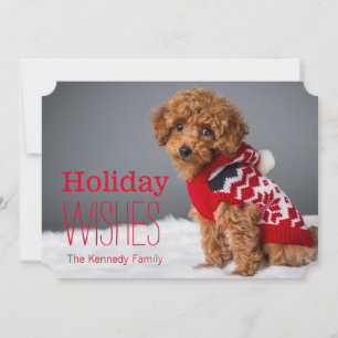 A 10 week old toy poodle holiday card