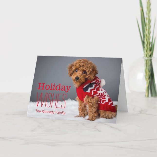 A 10 week old toy poodle holiday card (Front)