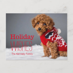A 10 week old toy poodle holiday postcard