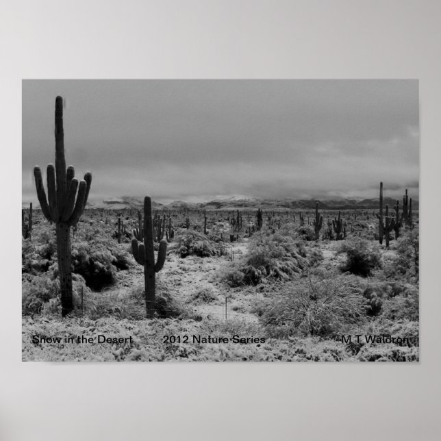 A 1 Print Snow in The Desert  Nature Series 2012 (Front)