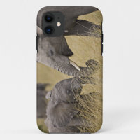 African Elephant grazing in the fields iPhone Case
