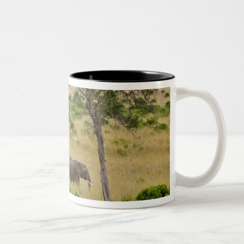 A African Elephant grazing in the fields of the 2 Two_Tone Coffee Mug