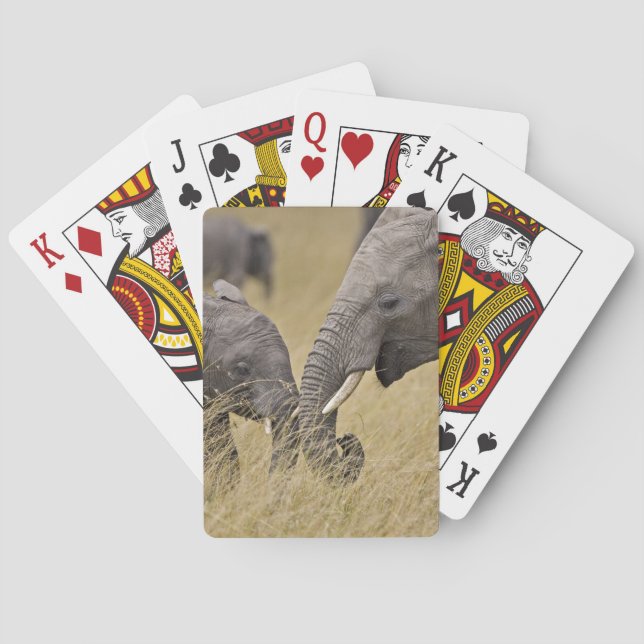 A African Elephant grazing in the fields Poker Cards (Back)