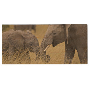 A African Elephant grazing in the fields Wood USB Flash Drive
