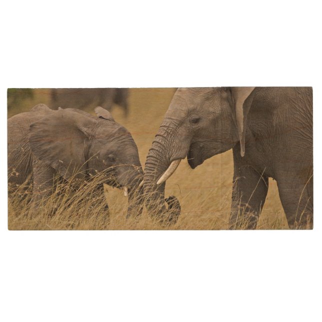 A African Elephant grazing in the fields Wood USB Flash Drive (Front)