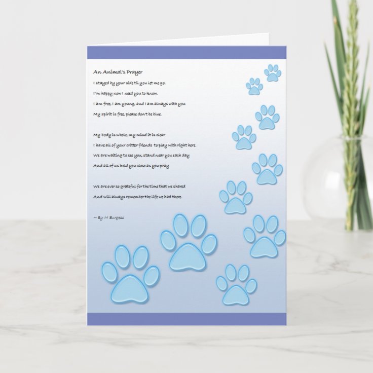 A Animal's Prayer - Card | Zazzle