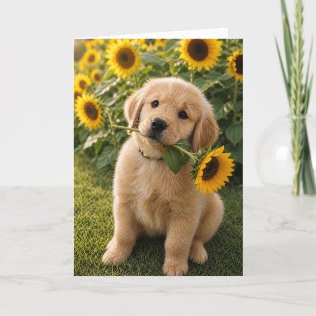 A&B Benny Sunflower Card (Front)