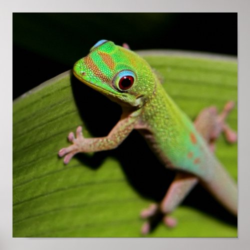 A Baby Green Gecko Poster