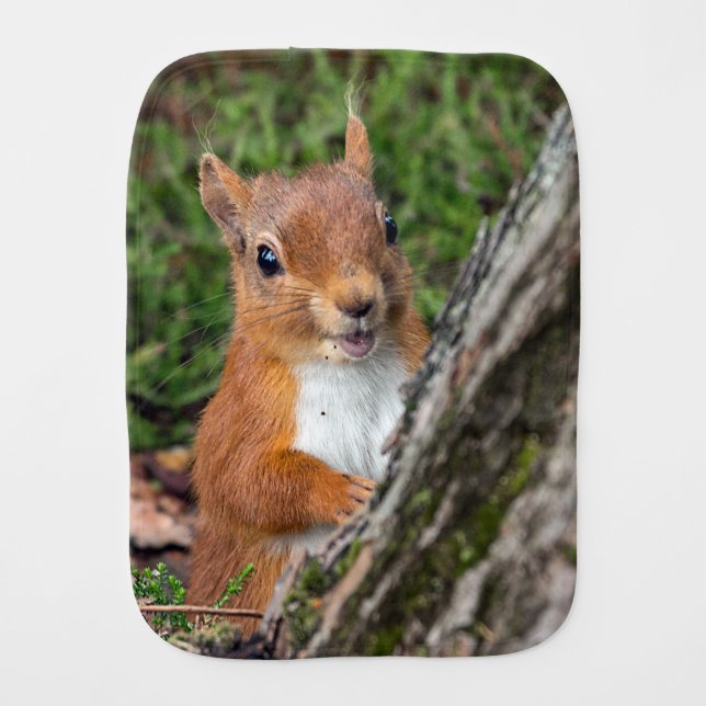 A baby red squirrel burp cloth (Front)