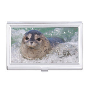 A baby seal surfing business card case