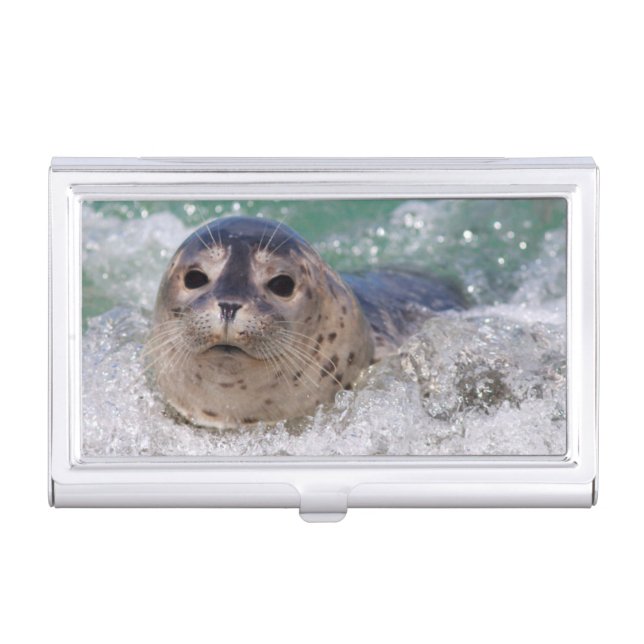 A baby seal surfing business card case (Front)