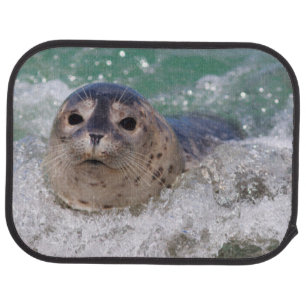 A baby seal surfing car mat