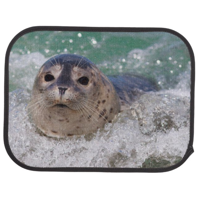 A baby seal surfing car mat (Rear)