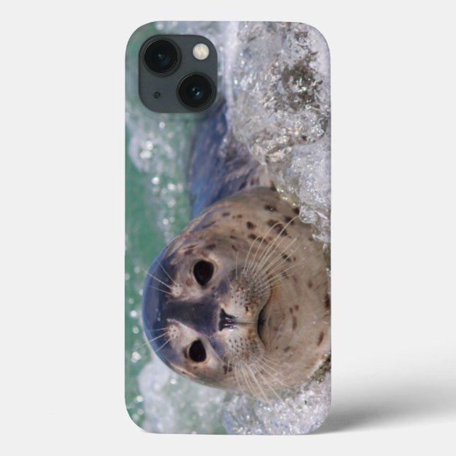 A baby seal surfing Case-Mate iPhone case (Back)