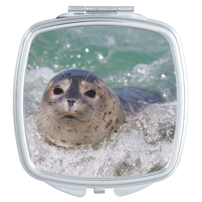 A baby seal surfing compact mirror (Front)