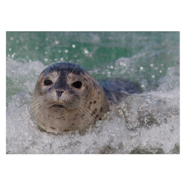 A baby seal surfing cutting board (Front)