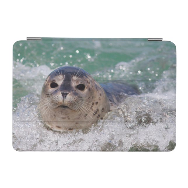 A baby seal surfing iPad mini cover (Horizontal)