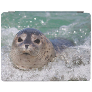 A baby seal surfing iPad smart cover