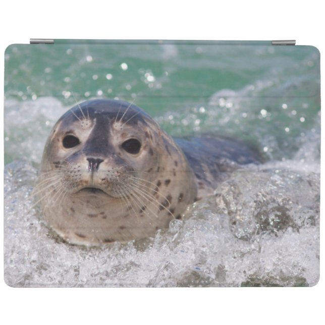 A baby seal surfing iPad smart cover (Horizontal)