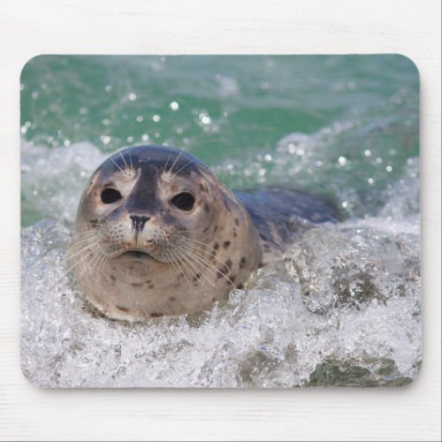 A baby seal surfing mouse pad
