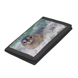 A baby seal surfing tri-fold wallet