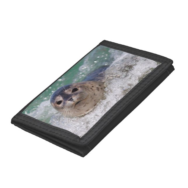 A baby seal surfing trifold wallet (Bottom)