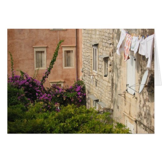 A Backyard in Dubrovnik Cards (Front Horizontal)