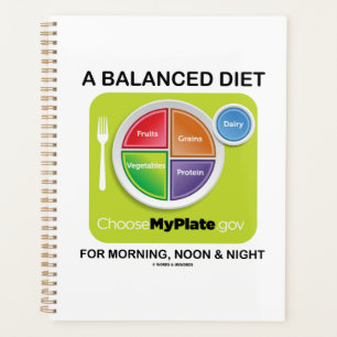 A Balanced Diet For Morning Noon And Night MyPlate Planner
