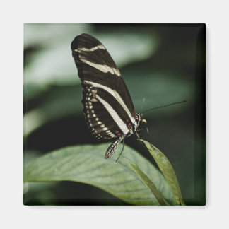 A Balanced Meal Magnet