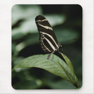 A Balanced Meal Mousepad