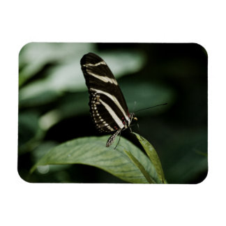A Balanced Meal Premium Magnet